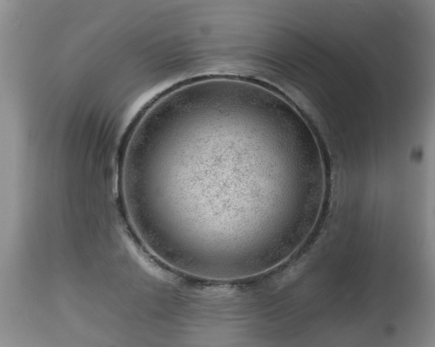 X0000112810838200908281505