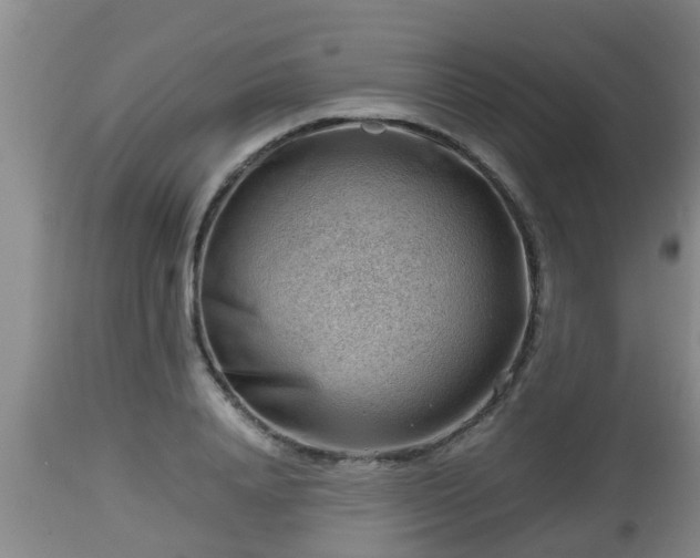 X0000112810840200908281505