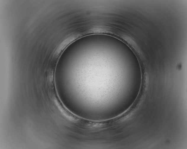 X0000112810841200908281505