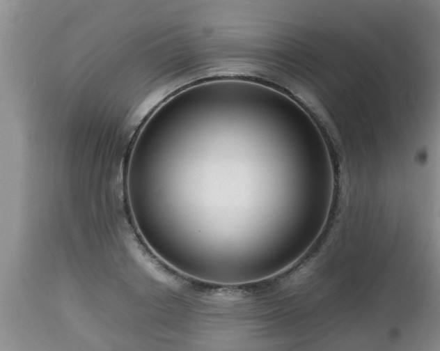 X0000112810842200908281505