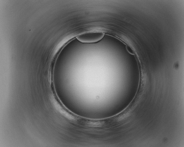 X0000112810843200908281505