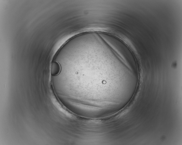 X0000112810844200908281505