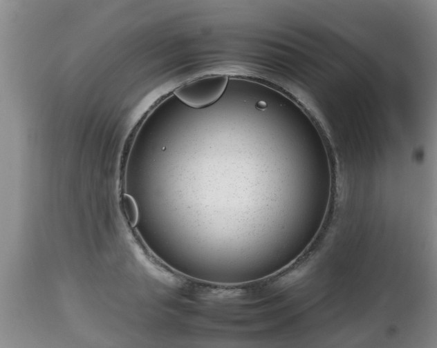 X0000112810845200908281505