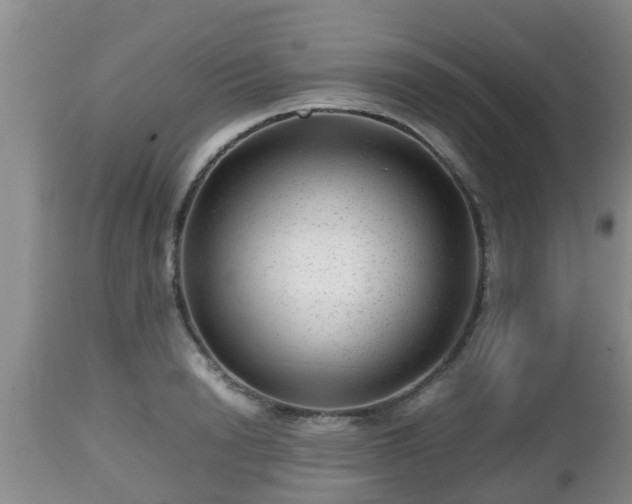 X0000112810846200908281505