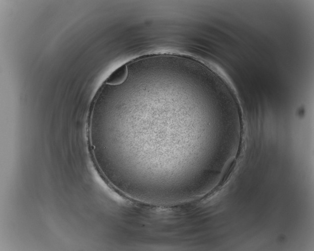 X0000112810847200908281505