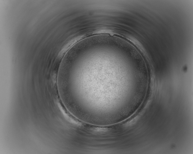 X0000112810849200908281505