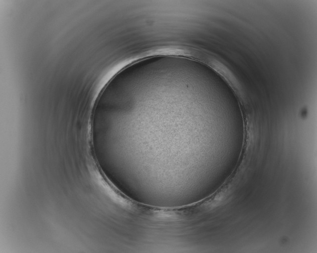 X0000112810852200908281505