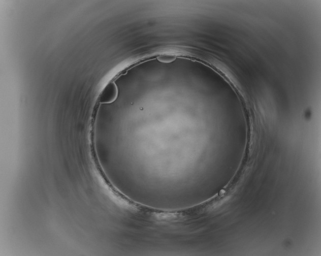 X0000112810853200908281505