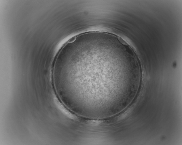 X0000112810854200908281505