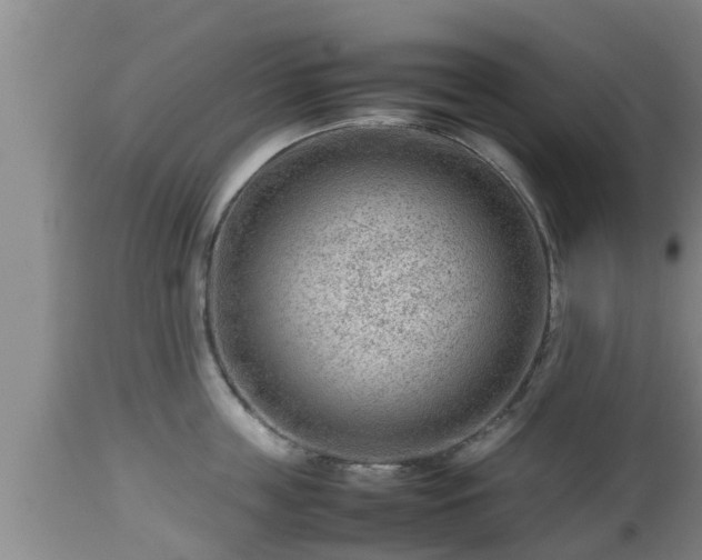 X0000112810859200908281505