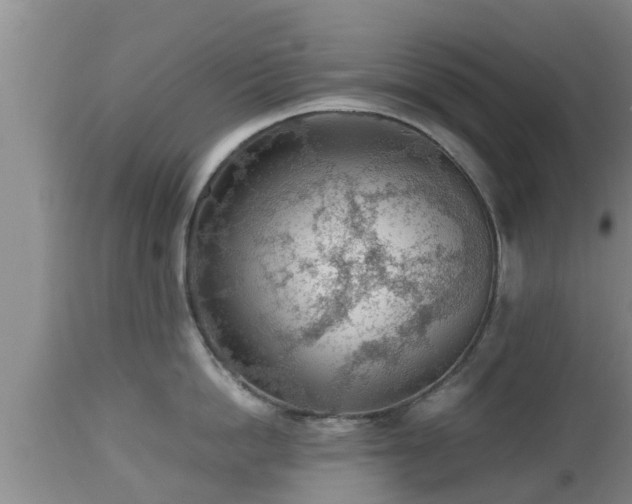 X0000112810862200908281505