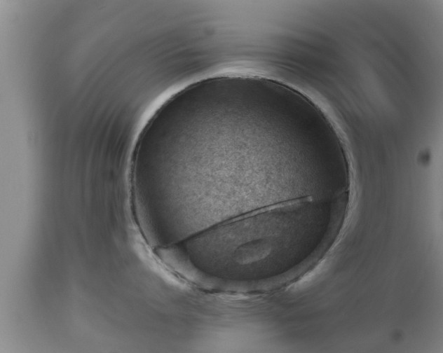 X0000112810864200908281505