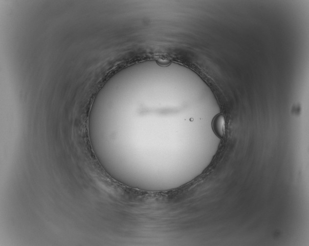 X0000112810865200908281505