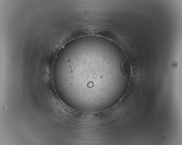 X0000112810866200908281505