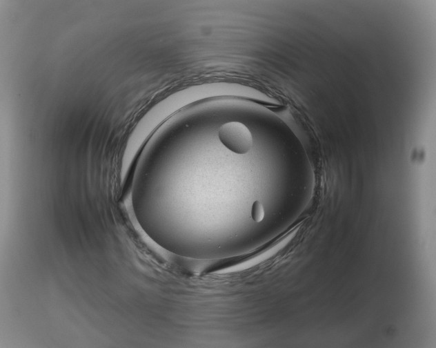 X0000112810868200908281505
