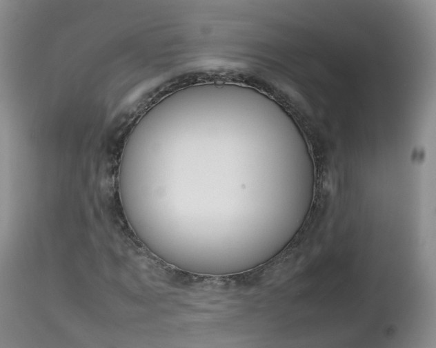 X0000112810869200908281505