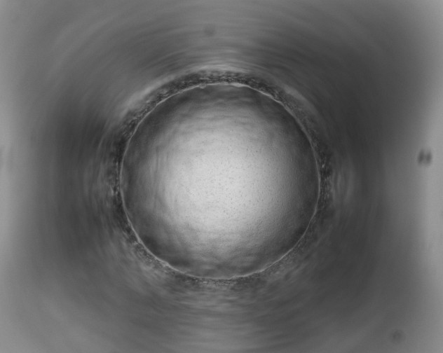 X0000112810870200908281505