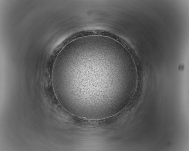 X0000112810871200908281505