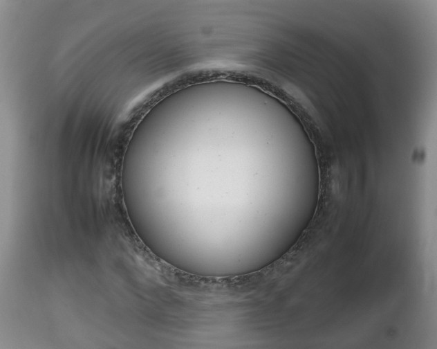 X0000112810872200908281505