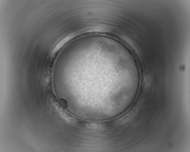X0000112810874200908281505
