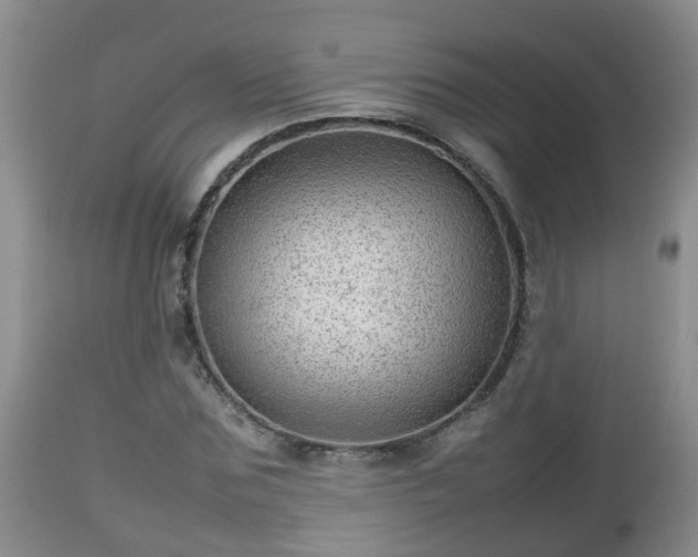 X0000112810875200908281505