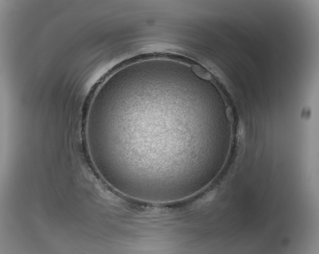 X0000112810877200908281505