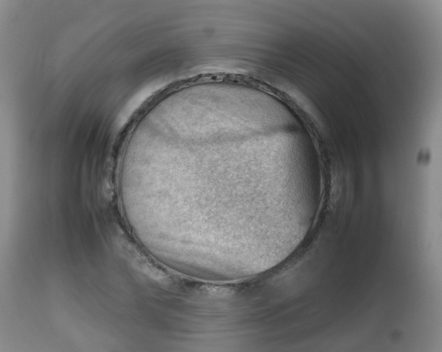 X0000112810878200908281505