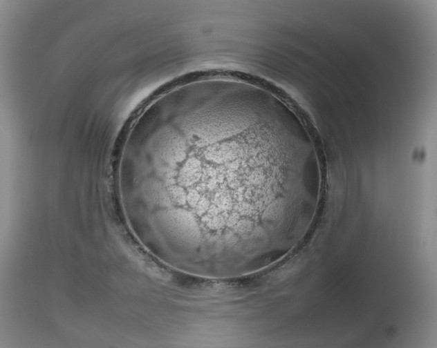 X0000112810879200908281505