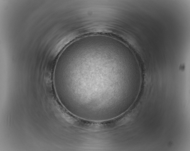 X0000112810881200908281505