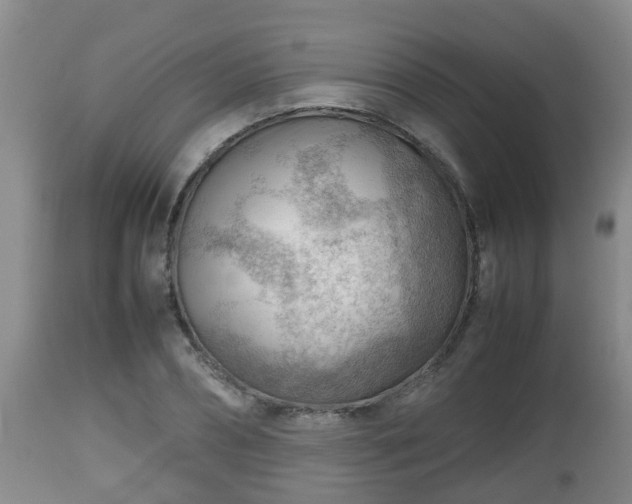 X0000112810882200908281505