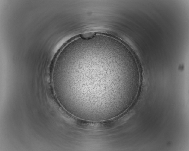 X0000112810883200908281505