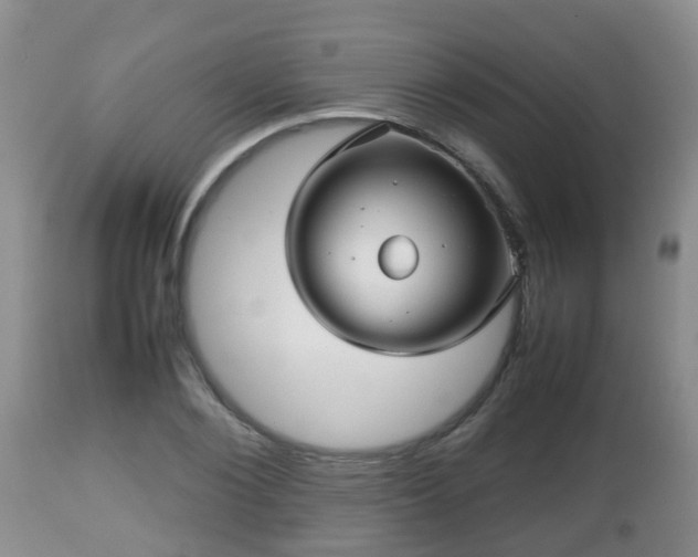X0000112810884200908281505