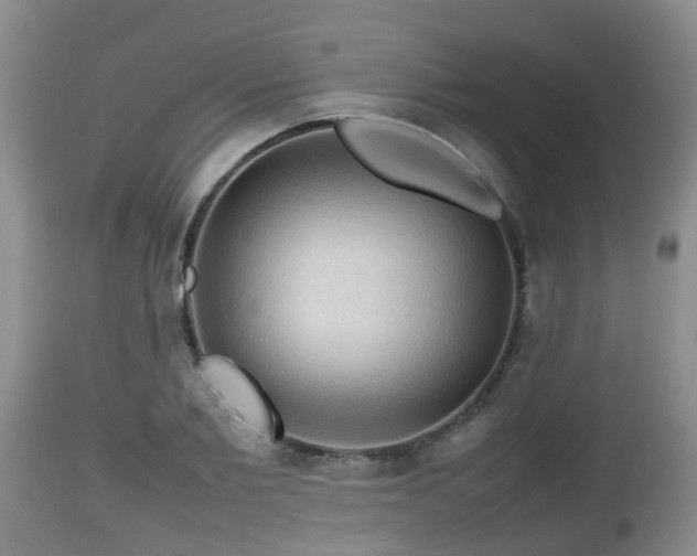 X0000112810885200908281505