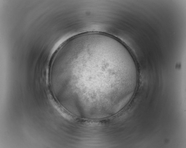 X0000112810886200908281505