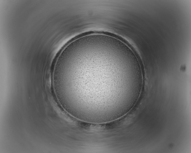 X0000112810887200908281505