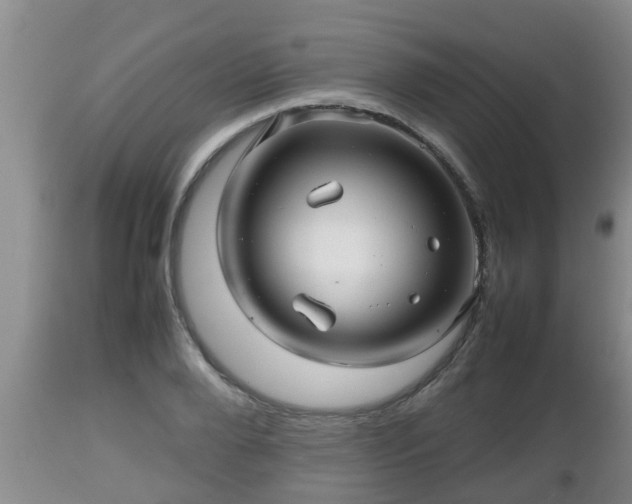 X0000112810888200908281505