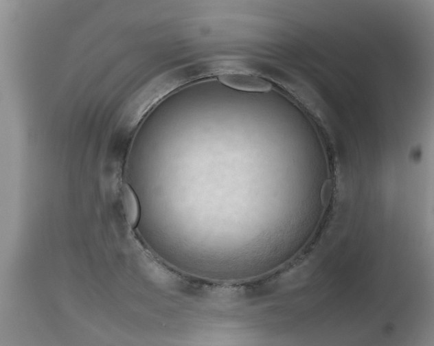 X0000112810889200908281505