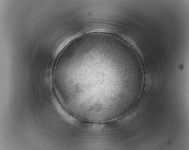 X0000112810890200908281504