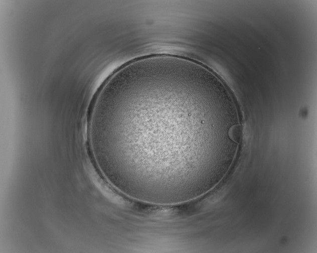 X0000112810891200908281504