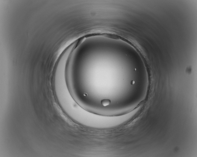 X0000112810893200908281504