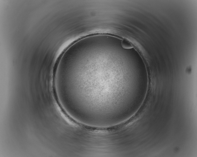 X0000112810894200908281504