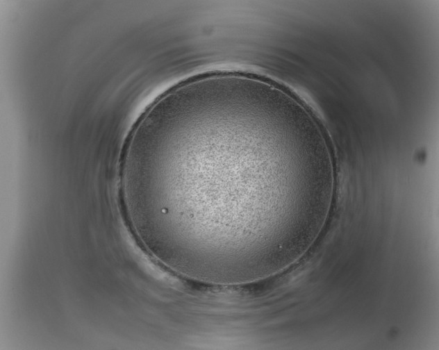 X0000112810895200908281504