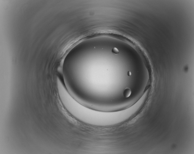 X0000112810897200908281504