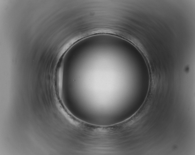 X0000112810898200908281504