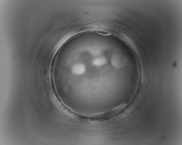 X0000112810899200908281504