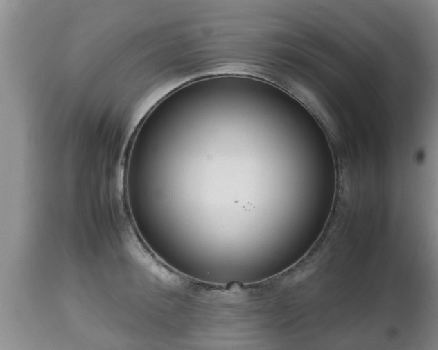 X0000112810900200908281504