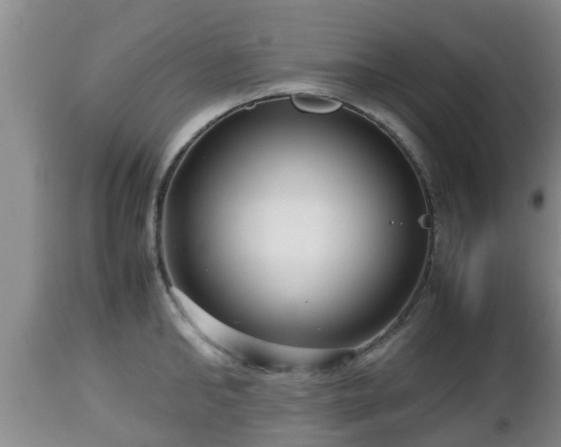 X0000112810902200908281504