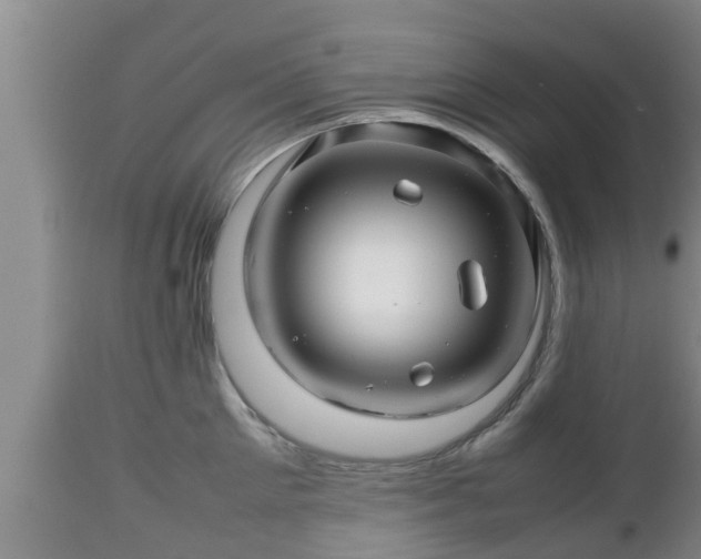 X0000112810905200908281504