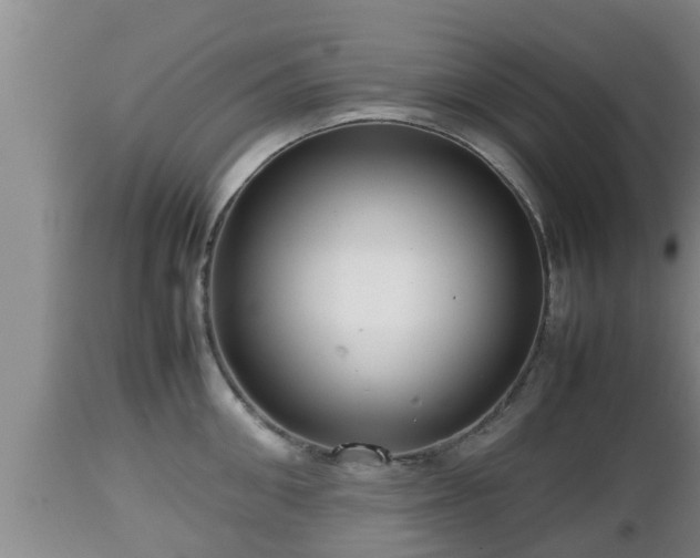 X0000112810906200908281504