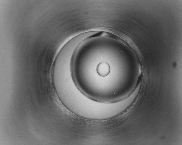 X0000112810908200908281504